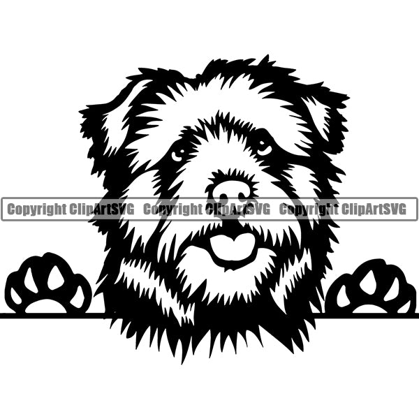 Norfolk Terrier Peeking Dog Breed ClipArt SVG 001