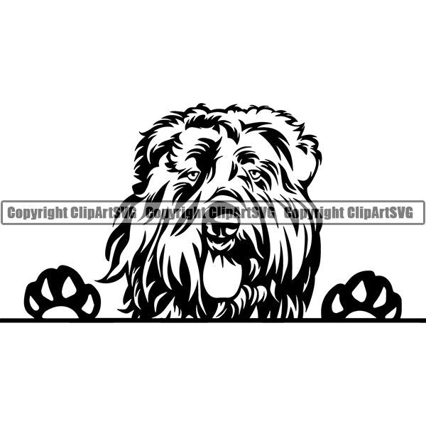 Bouvier Des Flandres Peeking Dog Breed Clipart SVG