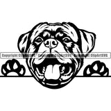 Rottweiler Peeking Dog Breed ClipArt SVG 007