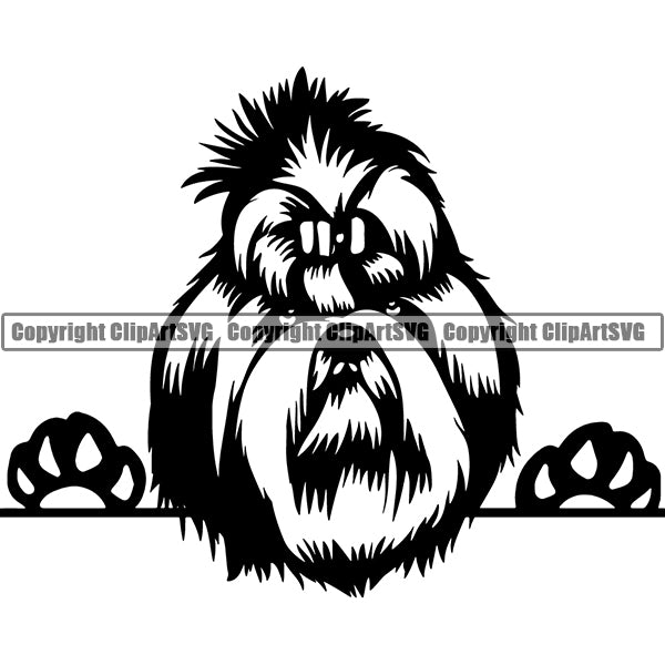 Shih Tzu Peeking Dog Breed ClipArt SVG 005
