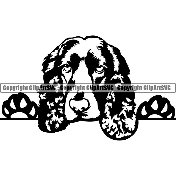 English Springer Spaniel Peeking Dog Breed ClipArt SVG 008