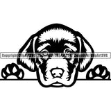 Labrador Retriever Peeking Dog Breed ClipArt SVG 001
