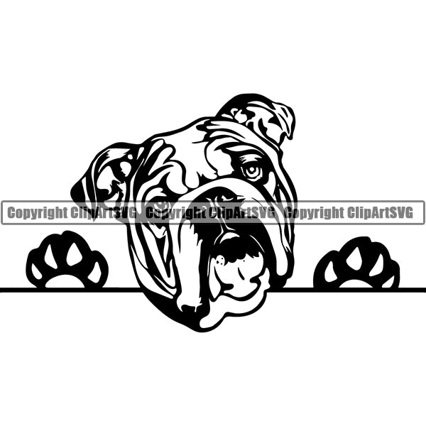 English Bulldog Peeking Dog Breed ClipArt SVG 006