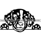 English Springer Spaniel Peeking Dog Breed ClipArt SVG 001