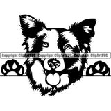 Border Collie Peeking Dog Breed Clipart SVG 002