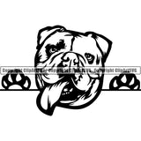 English Bulldog Peeking Dog Breed ClipArt SVG 003