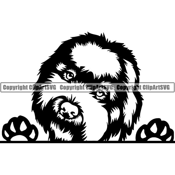 Lagotto Romagnolo Peeking Dog Breed ClipArt SVG 003