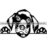 Great Dane Peeking Dog Breed ClipArt SVG 002