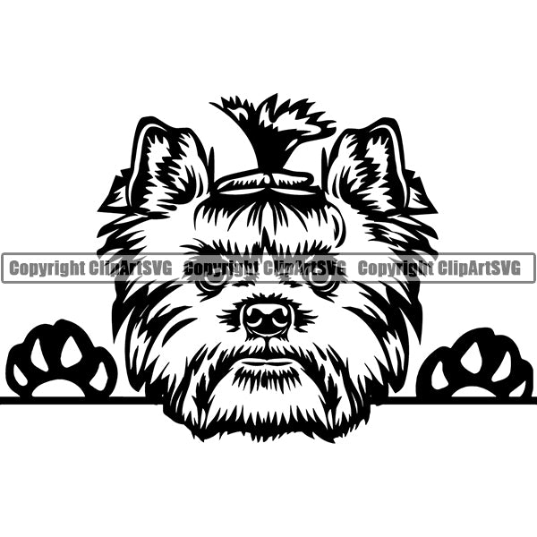 Yorkshire Terrier Peeking Dog Breed ClipArt SVG 012