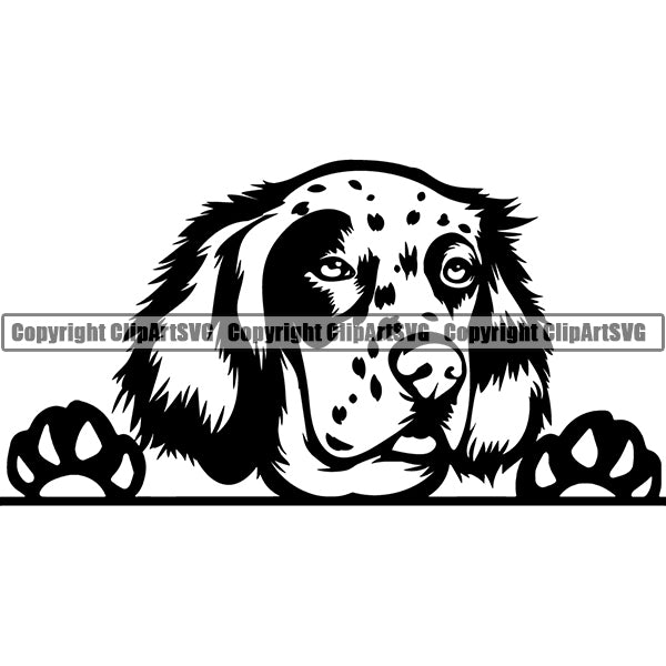 English Setter Peeking Dog Breed ClipArt SVG 001