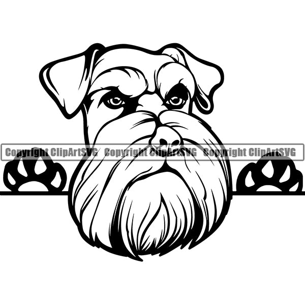 Schnauzer Peeking Dog Breed ClipArt SVG 008