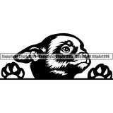 Chihuahua Peeking Dog Breed Clipart SVG 006