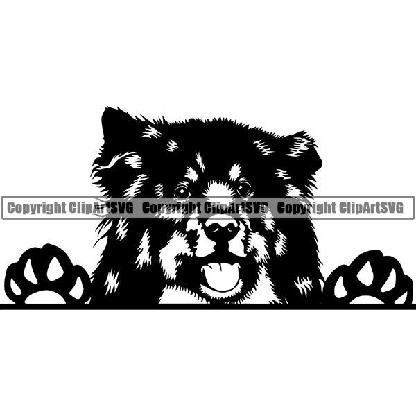 Finnish Lapphund Peeking Dog Breed ClipArt SVG