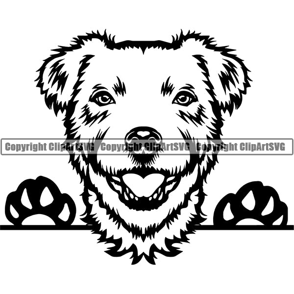 Parson Russell Peeking Dog Breed ClipArt SVG