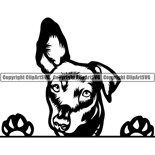 Dachshund Peeking Dog Breed Clipart SVG 006