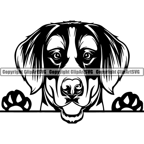 Bernese Mountain Peeking Dog Breed Clipart SVG 004