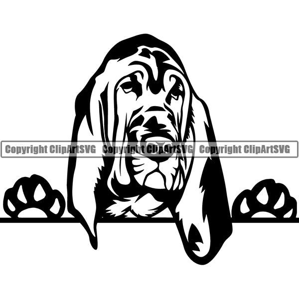 Bloodhound Peeking Dog Breed Clipart SVG 002