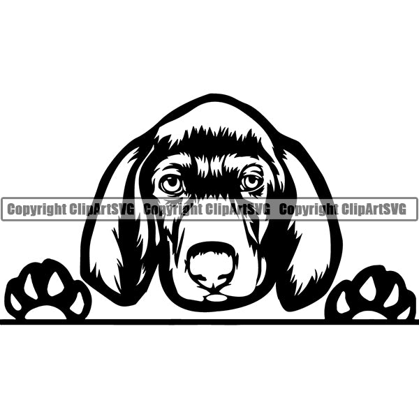 Weimaraner Peeking Dog Breed ClipArt SVG 002