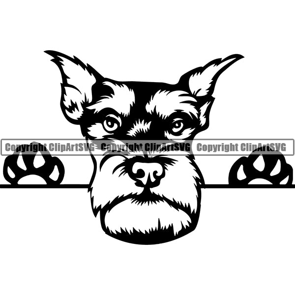 Schnauzer Peeking Dog Breed ClipArt SVG 009