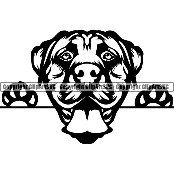 Boerboel Peeking Dog Breed Clipart SVG