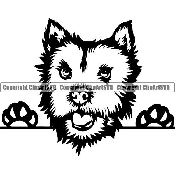Norfolk Terrier Peeking Dog Breed ClipArt SVG 002