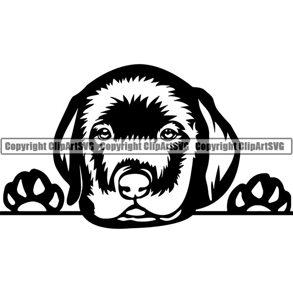 Labrador Retriever Peeking Dog Breed ClipArt SVG 011