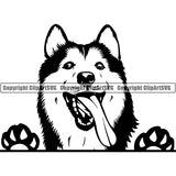 Siberian Husky Peeking Dog Breed ClipArt SVG