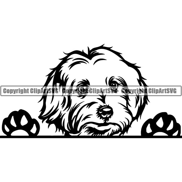 Maltese Peeking Dog Breed ClipArt SVG 003