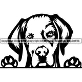 Pit Bull Peeking Dog Breed ClipArt SVG 028