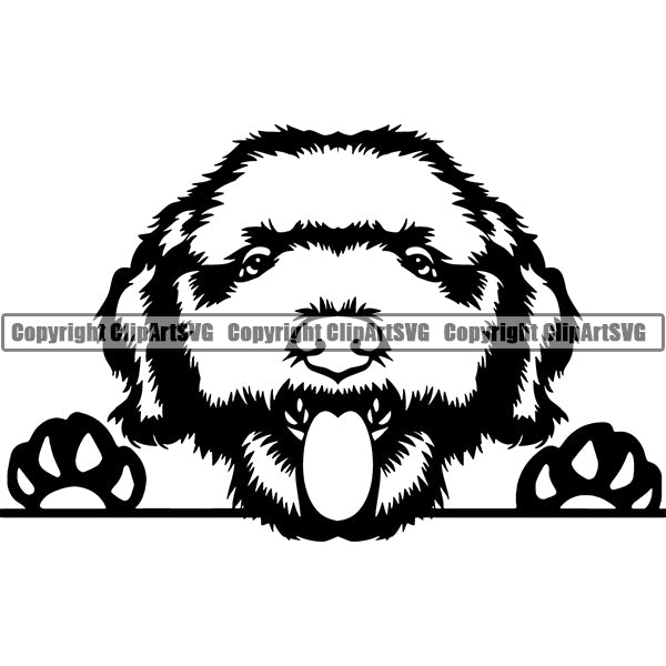 Lagotto Romagnolo Peeking Dog Breed ClipArt SVG 001