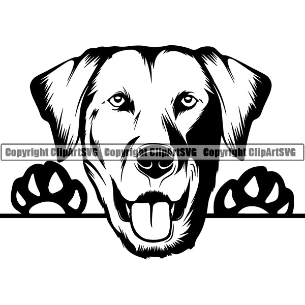 Labrador Retriever Peeking Dog Breed ClipArt SVG 007