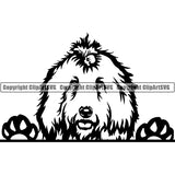 Komondor Peeking Dog Breed ClipArt SVG