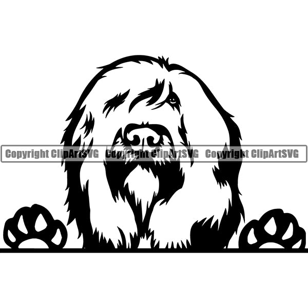 Briard Peeking Dog Breed Clipart SVG 001