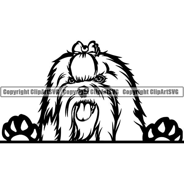 Maltese Peeking Dog Breed ClipArt SVG 005