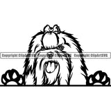 Maltese Peeking Dog Breed ClipArt SVG