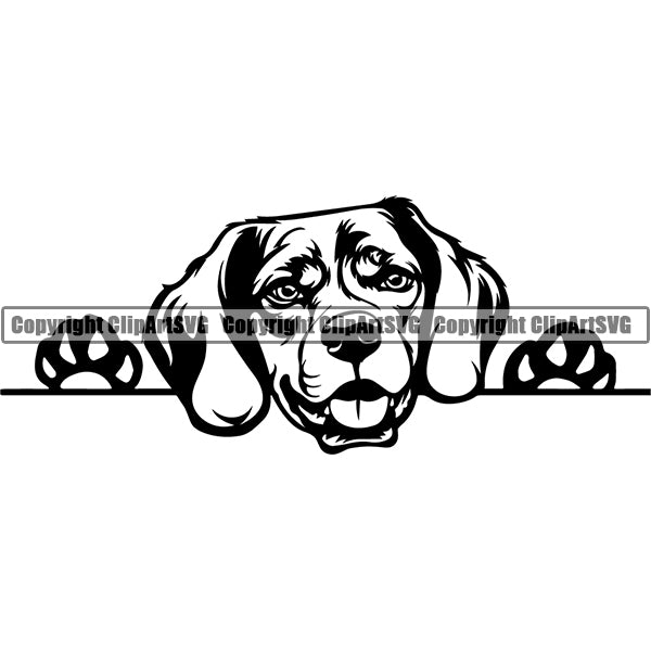 Beagle Peeking Dog Breed Clipart SVG 002