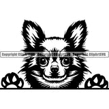 Chihuahua Peeking Dog Breed Clipart SVG 020