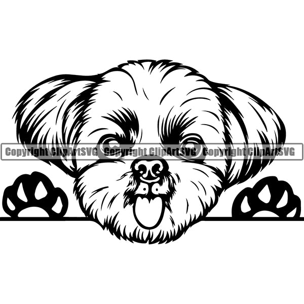 Shih Tzu Peeking Dog Breed ClipArt SVG 003