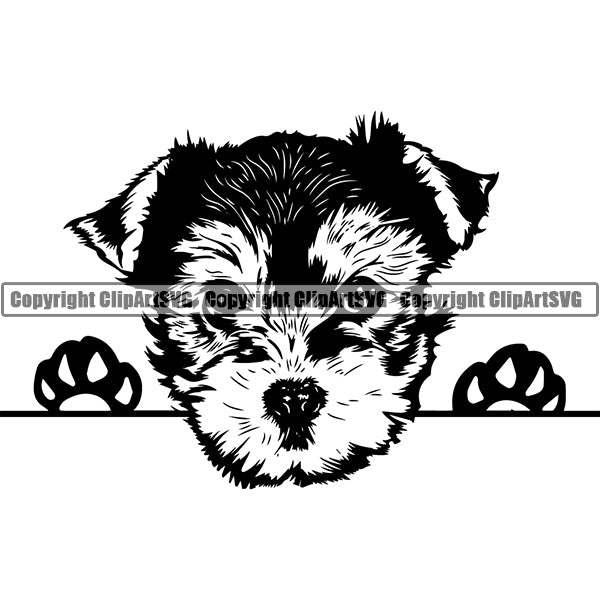 Yorkshire Terrier Peeking Dog Breed ClipArt SVG 009