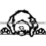 Cockapoo Peeking Dog Breed Clipart SVG 003