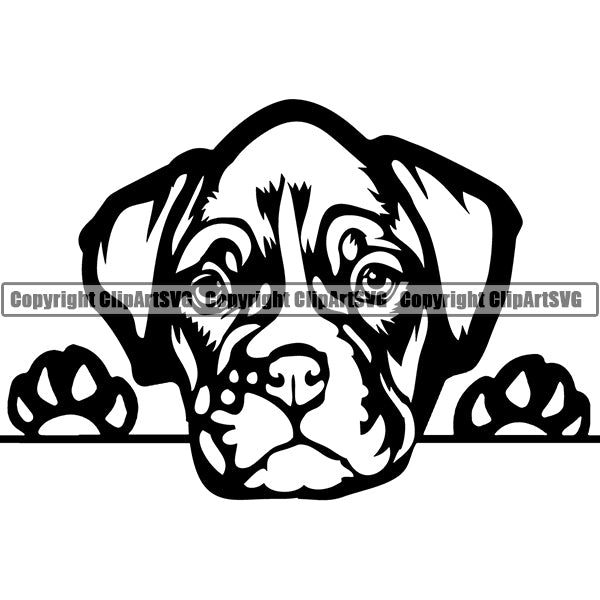 Boxer Peeking Dog Breed Clipart SVG 001
