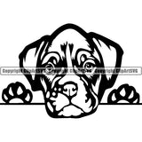 Boxer Peeking Dog Breed Clipart SVG 001