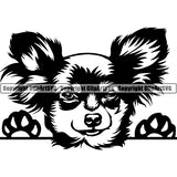 Chihuahua Peeking Dog Breed Clipart SVG 014