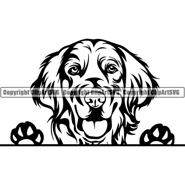 Golden Retriever Peeking Dog Breed ClipArt SVG 006