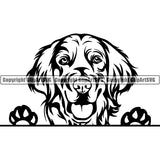 Golden Retriever Peeking Dog Breed ClipArt SVG 006