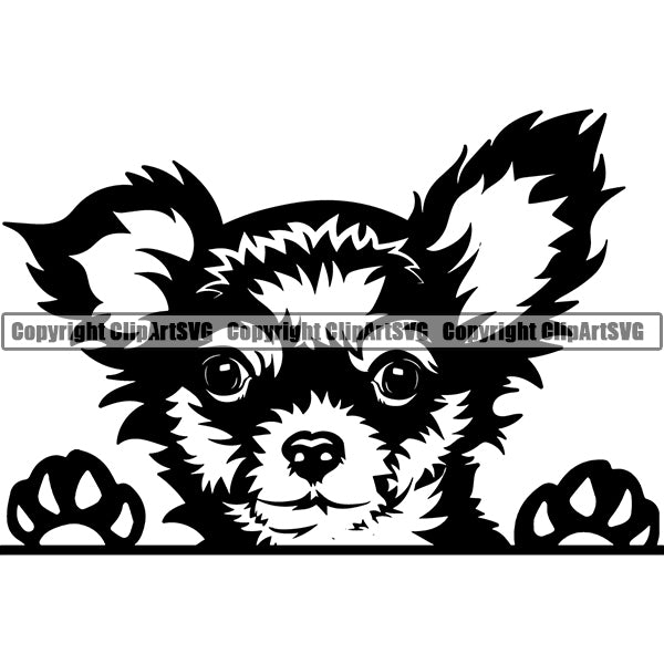 Chihuahua Peeking Dog Breed Clipart SVG 012
