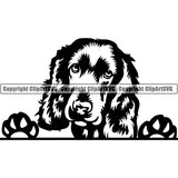 English Cocker Spaniel Peeking Dog Breed ClipArt SVG 002