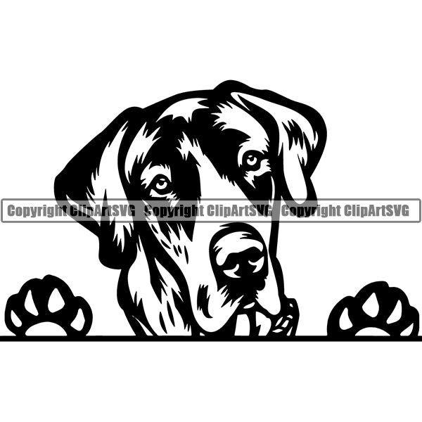 Great Dane Peeking Dog Breed ClipArt SVG 004