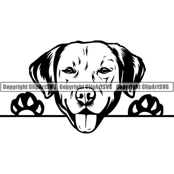 Labrador Retriever Peeking Dog Breed ClipArt SVG 014