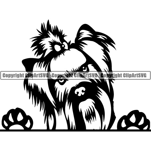 Yorkshire Terrier Peeking Dog Breed ClipArt SVG 004